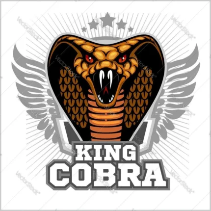 king cobra iptv panel